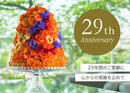 [特輯] <br/>“橫濱灣東急酒店”迎來了開業29周年。